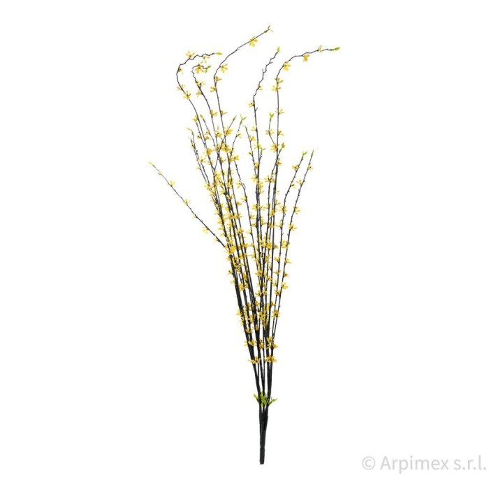 BUSH GINESTRA x 5 CM.85 YELLOW
